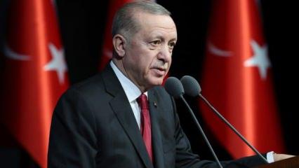 Cumhurbaşkanı Erdoğan: Danıştay'ın kararı tartışmalı