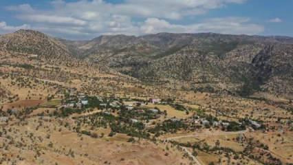 Gabar Dağı bölgesi 'özel güvenlik bölgesi' ilan edildi