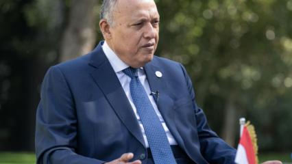 Mısır Dışişleri Bakanı'ndan Türkiye açıklaması