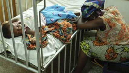Nijerya'da menenjit salgını: 20 öğrenci hayatını kaybetti