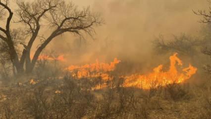 Texas’taki orman yangınlarında itfaiyeciler alevlerin arasında kaldı
