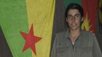 MİT, PKK/KCK'nın sözde gençlik yapılanması sorumlusunu etkisiz hale getirdi