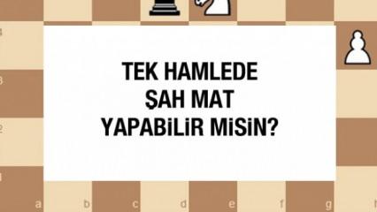 Satranç bulmacası #8: Satranç oyununu tek hamlede şah mat yaparak bitirebilir misin?