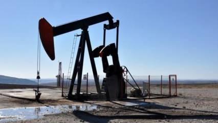 Adana Karaisalı'da 10 sondaj kuyusu açılarak petrol aranacak