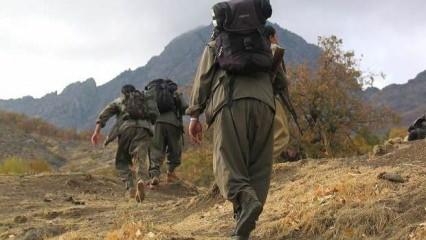 PKK Irak'tan kaçıyor! Türkiye'nin hamlesi sonrası artık yolun sonu