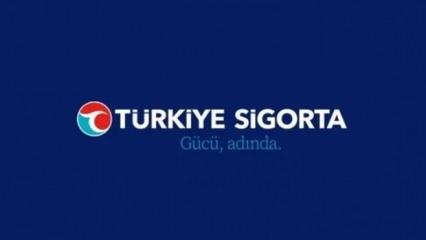 Türkiye Sigorta 2024’e de hızlı başlangıç yaptı