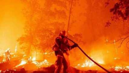 Meksika’nın 15 eyaletinde 58 orman yangını