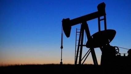 Petrol ve gaz üreticileri taahhütlerini yok sayıyor: Yatırımlar 4 katına çıkacak