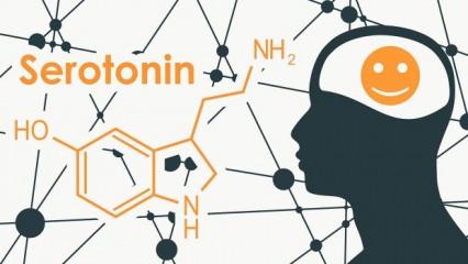 Serotonin, melatonin mutluluk hormonu nasıl artar? Mutluluk hormonu sağlayan şeyler...