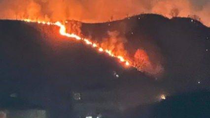 Trabzon'da orman yangını: Ekiplerin müdahalesi sürüyor