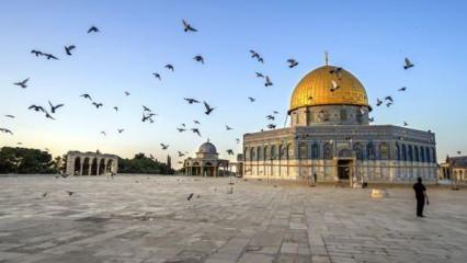 iPhone güncellemesi israillileri kızdırdı! 'Kudüs' yazınca bakın ne çıkıyor...