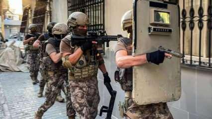 204 TİM ile 9 ilde 'Bozdoğan' operasyonu