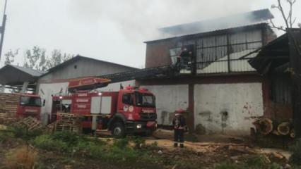 Sakarya'da orman ürünleri fabrikasında yangın