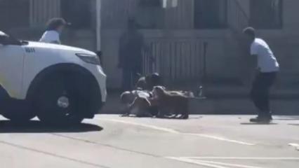 ABD polisi pitbull köpeklerinin parçaladığı adamı böyle kurtardı