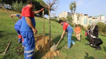 Kâğıthane Belediyesi ilçeye 60 bin ağaç kazandırdı