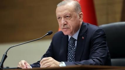 Cumhurbaşkanı Erdoğan'dan Yunanistan'a mesaj: Türkiye olmadan başarılı olmak güç!