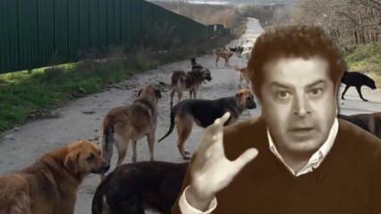 Cüneyt Özdemir başıboş sokak köpeği çoğaltma lobisini ifşa etti