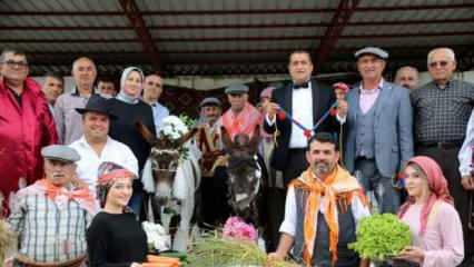 Eşeklere nikah kıyıp balayına gönderdiler: Şarkıcı Aydın Aydın da eşlik etti