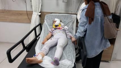 Piknik yapanların arasına at daldı: 1'i çocuk, 2 yaralı!