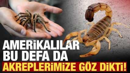Amerikalılar bu defa da akreplerimize göz dikti!