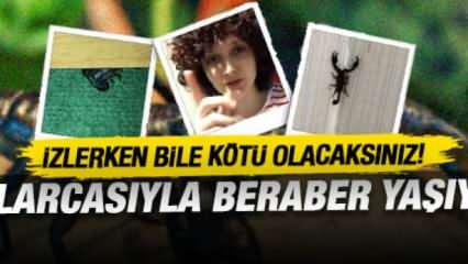 Onlarca akreple aynı evde yaşıyor! İzlerken kötü olacaksınız