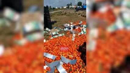 Para etmiyor diyerek şeftalileri boş araziye döktüler