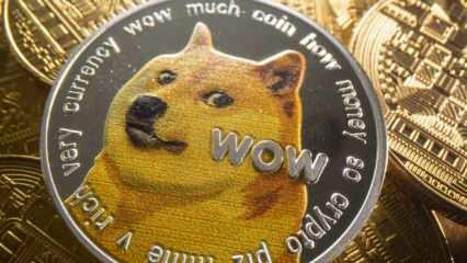 Dogecoin'in simgesiydi! O köpek hayatını kaybetti