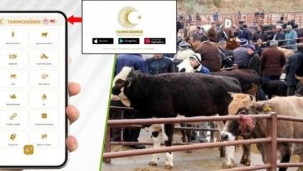 "Tarım Cebimde" ile 3 adımda kurbanlık sorgulama