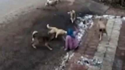 9 köpeğin saldırısına uğrayan kadın sokağa çıkamaz oldu