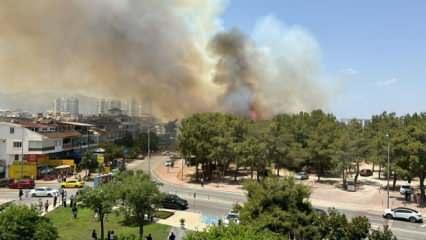 Son dakika: Kabus geri döndü! Birçok ilimizden kötü haberler peş peşe geldi...