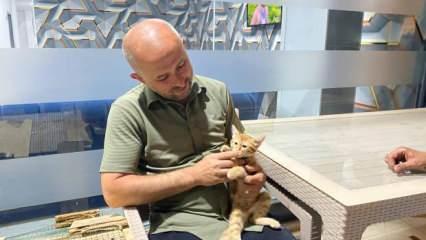 Başıboş sokak k&ouml;pekleri anne kedi ve 2 yavrusunu par&ccedil;alayarak &ouml;ld&uuml;rd&uuml;