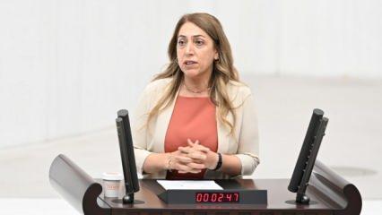DEM'li vekil Aydeniz'den küstah sözler! 'Kürdistan'ı işgal ediyorsunuz'