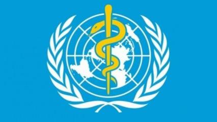 Dünya Sağlık Örgütü Meksika'da ilk ölümcül H5N2 kuş gribi vakasını doğruladı