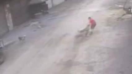 Adana'da 14 yaşındaki &ccedil;ocuk başıboş k&ouml;peklerin saldırısına uğradı