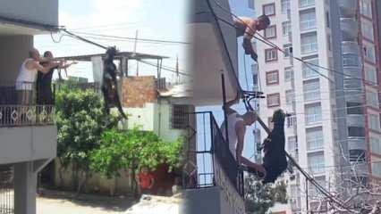 Adana&rsquo;da ka&ccedil;mak isteyen ke&ccedil;i telde asılı kaldı