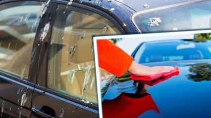 Aracınızın düşmanıyla savaşın: Arabadan kuş pisliği lekesi temizlemenin en kolay yolu