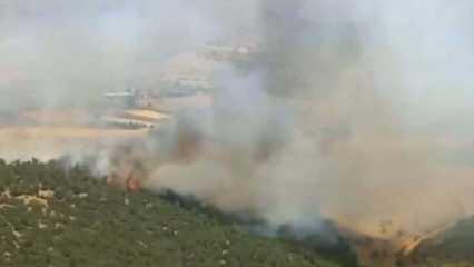 Manisa'da orman yangını 