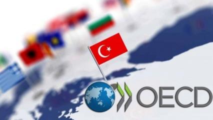 OECD ilan etti: Türkiye ilk sıraya yerleşti