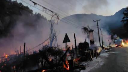 Olympos Antik Kenti yakınında büyük yangın: Kadir'in Ağaç Evleri yandı