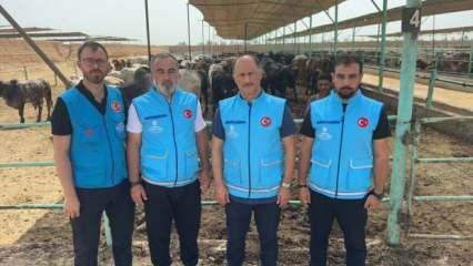 TDV, 36 bin 750 bağışçının kurban hissesini Filistinlilere gönderecek