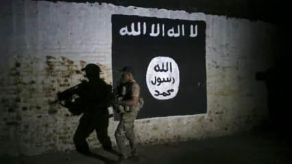 ABD ordusu: Suriye'de üst düzey DEAŞ'lı isim öldürüldü
