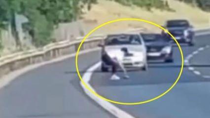 Beykoz'da araçları durduran kadın, yolda ezilme tehlikesi yaşayan kaplumbağayı kurtardı