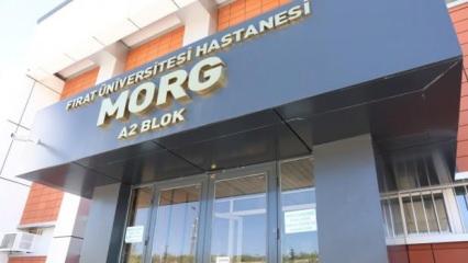 Düğünde boğazına şeker kaçan 4 yaşındaki çocuk hayatını kaybetti