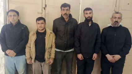 Edirne'de 5 kaçak göçmen yakalandı