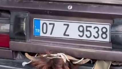  Otomobil bagajındaki kurbanlığın halini görenler gözlerine inanamadı