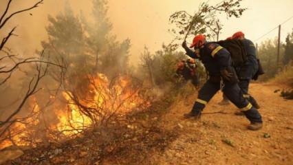 Yunanistan'da orman yangını