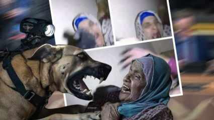 İsrail askeri eğitilmiş katil köpekle yaşlı Filistinli kadına saldırdı! 