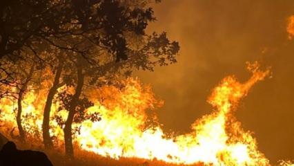 Adıyaman'da yangın! Havadan ve karadan müdahale ediliyor