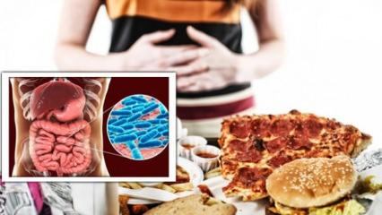 Bağırsak mikrobiyomundaki bakterilerin aşırı yeme ve obezite riski üzerindeki etkisi