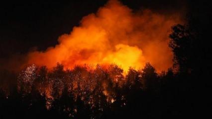 Meteoroloji'den yangın bölgelerine kötü haber! Kuvvetli rüzgar bekleniyor